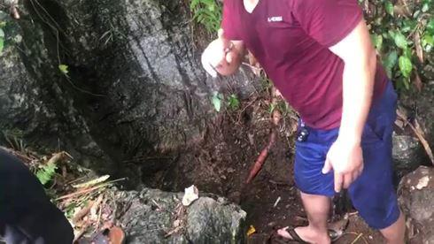 nha 'ngoai cam' tuyen bo soc chuyen tim 3 tan vang o lang son - 2