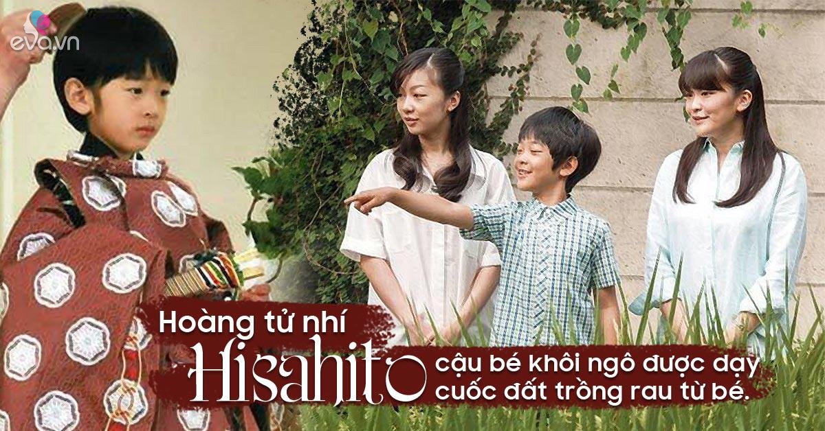 40 năm mới đón được Hoàng tử, Hoàng gia Nhật ngay lập tức gửi cháu vào trường... bình dân