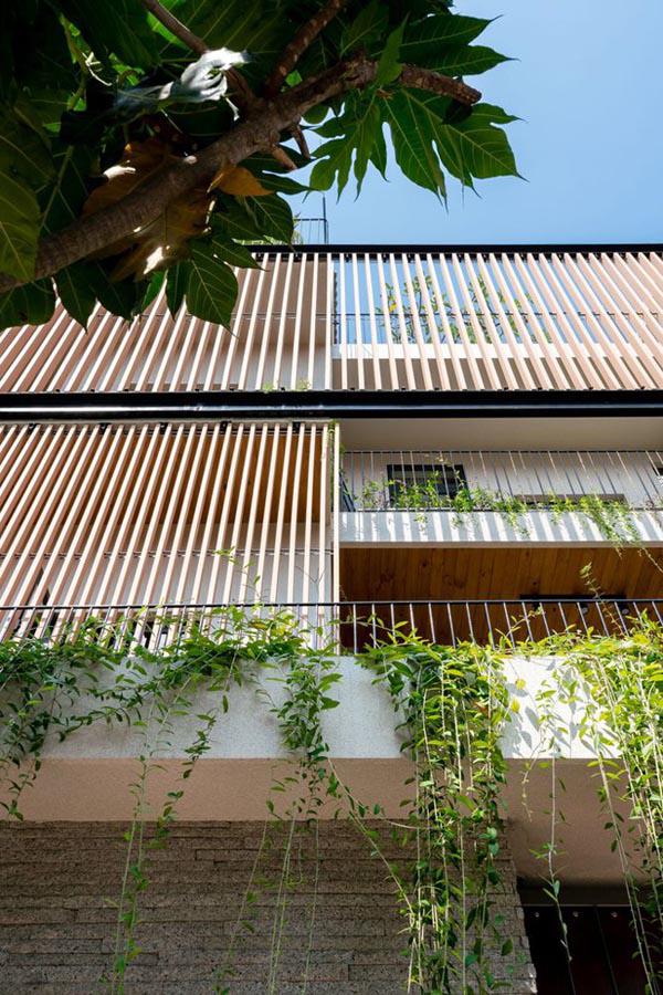 can nha vung tau quay thang huong tay ma van mat &#34;lim tim&#34; nho vat lieu nay - 6