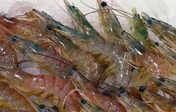 nguoi phu nu chet do nhiem khuan khi lam tom, loai vi khuan nay giet nguoi trong 48 tieng - 2