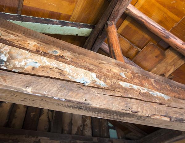 can nha 100 tuoi tuong "lac loai" giua pho thi, hoa ra lai qua doi binh yen - 8