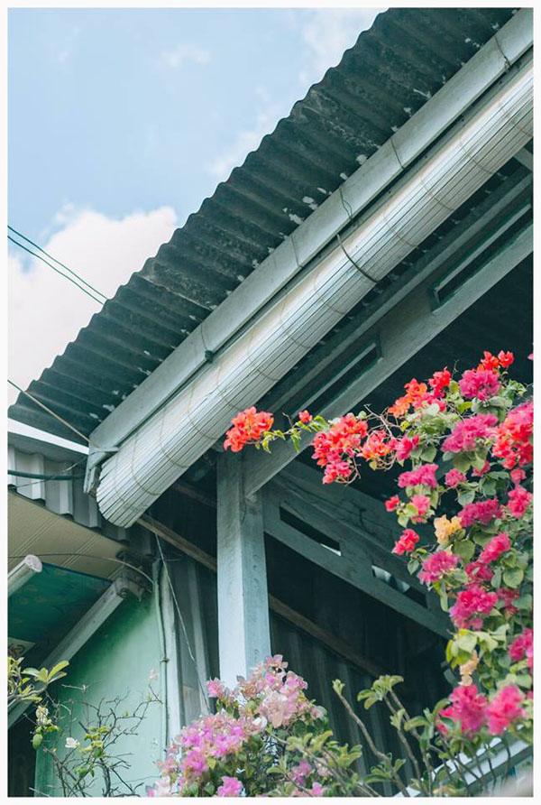 co mot ngoi nha hoa la qua binh yen o an giang khien ai cung mo "nha toi o do" - 9