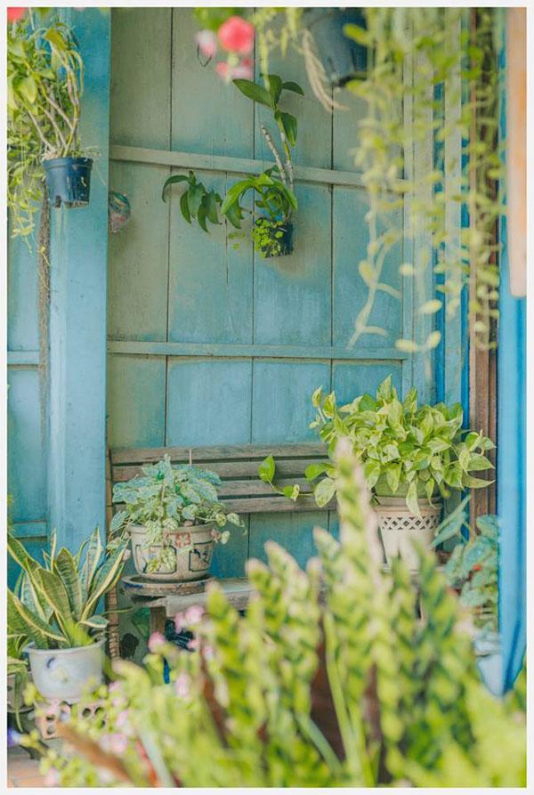 co mot ngoi nha hoa la qua binh yen o an giang khien ai cung mo "nha toi o do" - 8