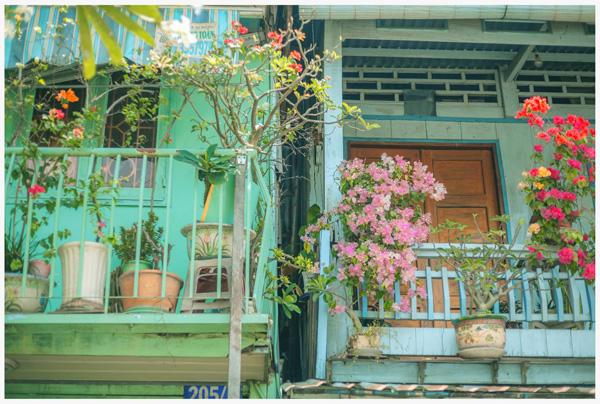 co mot ngoi nha hoa la qua binh yen o an giang khien ai cung mo "nha toi o do" - 11