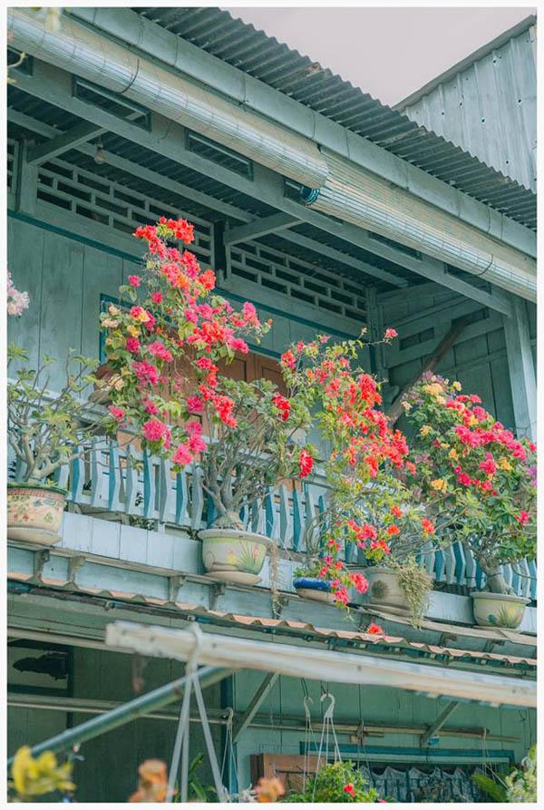 co mot ngoi nha hoa la qua binh yen o an giang khien ai cung mo "nha toi o do" - 5