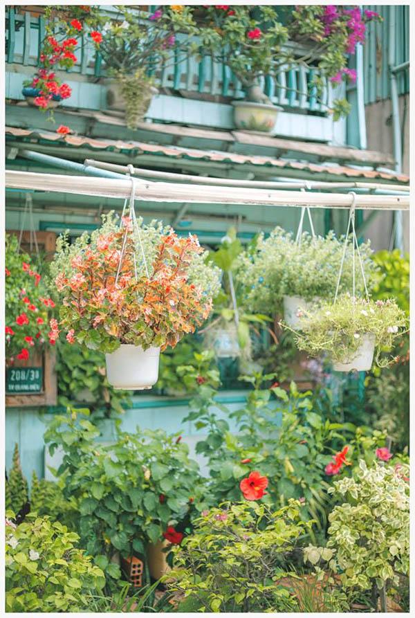 co mot ngoi nha hoa la qua binh yen o an giang khien ai cung mo "nha toi o do" - 2