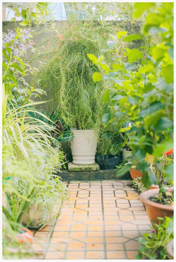 co mot ngoi nha hoa la qua binh yen o an giang khien ai cung mo "nha toi o do" - 15