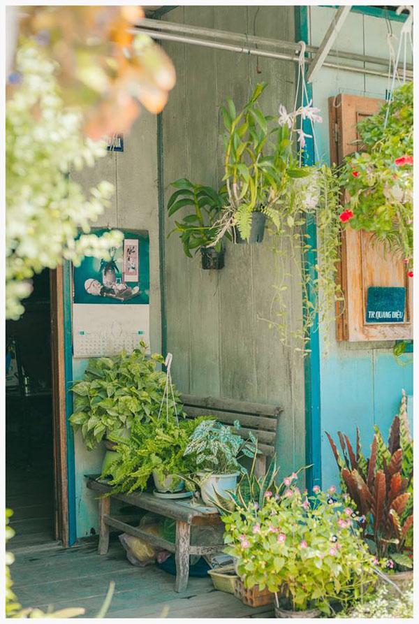 co mot ngoi nha hoa la qua binh yen o an giang khien ai cung mo "nha toi o do" - 3