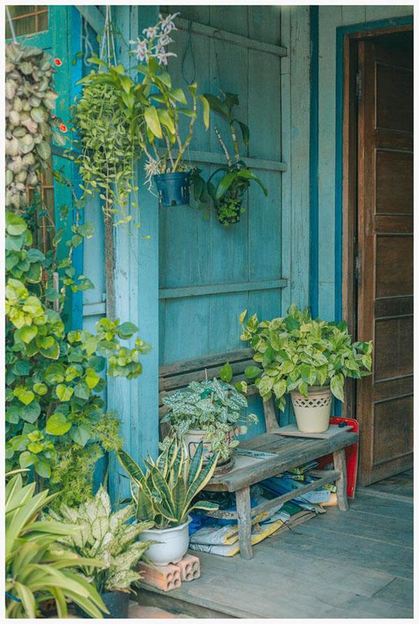 co mot ngoi nha hoa la qua binh yen o an giang khien ai cung mo "nha toi o do" - 4