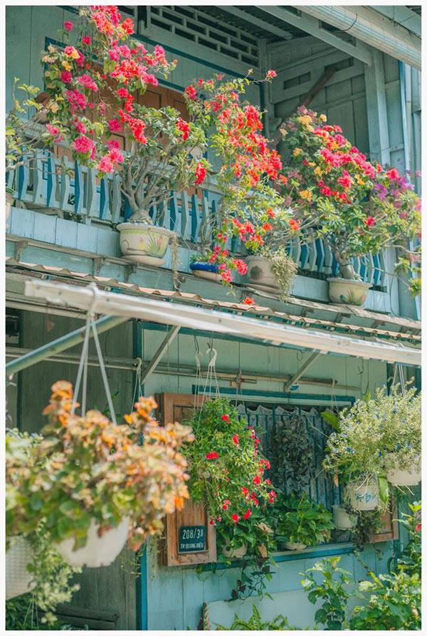 co mot ngoi nha hoa la qua binh yen o an giang khien ai cung mo "nha toi o do" - 16