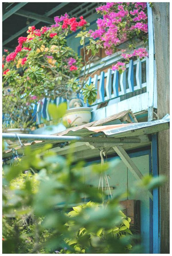 co mot ngoi nha hoa la qua binh yen o an giang khien ai cung mo "nha toi o do" - 17