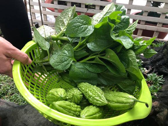 ngam vuon rau xanh muot ai nhin cung me cua vo chong nghe si hong van - le tuan anh - 3