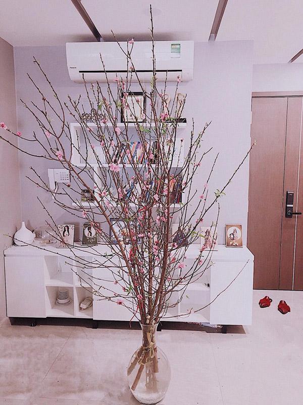 thu nhap "khung" nhung can ho ma bao anh dang song khien nhieu nguoi bat ngo - 4