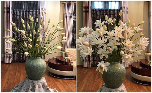 nha sang bung nho muon cach cam hoa sen tuyet dep cua ba me hai phong - 1