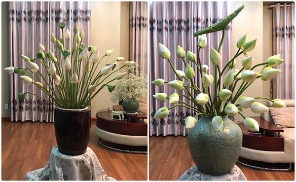 nha sang bung nho muon cach cam hoa sen tuyet dep cua ba me hai phong - 3