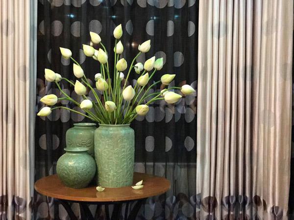 nha sang bung nho muon cach cam hoa sen tuyet dep cua ba me hai phong - 5