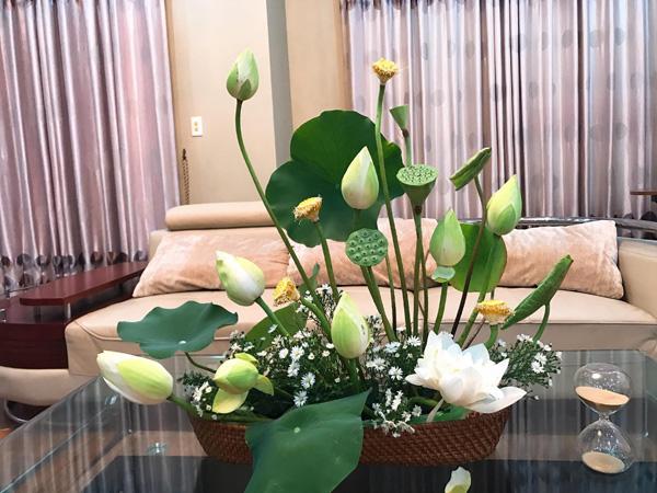 nha sang bung nho muon cach cam hoa sen tuyet dep cua ba me hai phong - 9