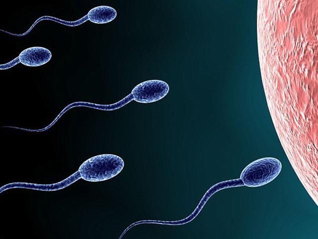 qua trinh thu thai dien ra nhu the nao? - 4