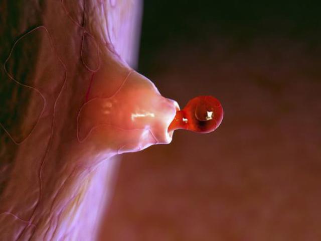 qua trinh thu thai dien ra nhu the nao? - 5