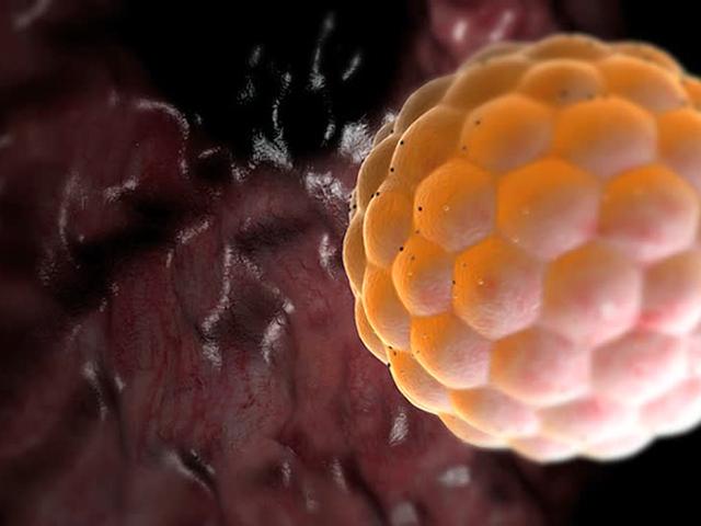 qua trinh thu thai dien ra nhu the nao? - 6