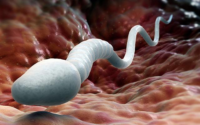 qua trinh thu thai dien ra nhu the nao? - 3