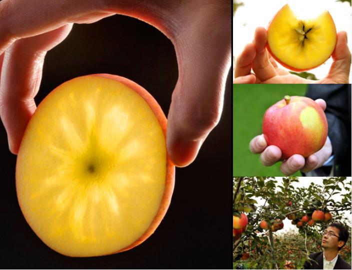 "con sot" tao mat nhat ban gia ca trieu dong/kg: dan viet do xo mua - 6