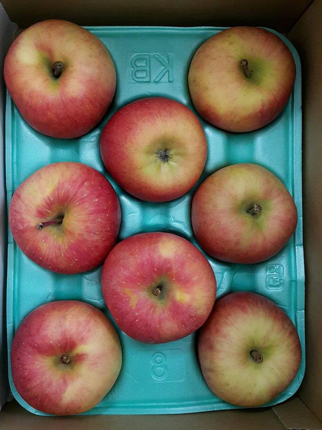 "con sot" tao mat nhat ban gia ca trieu dong/kg: dan viet do xo mua - 2