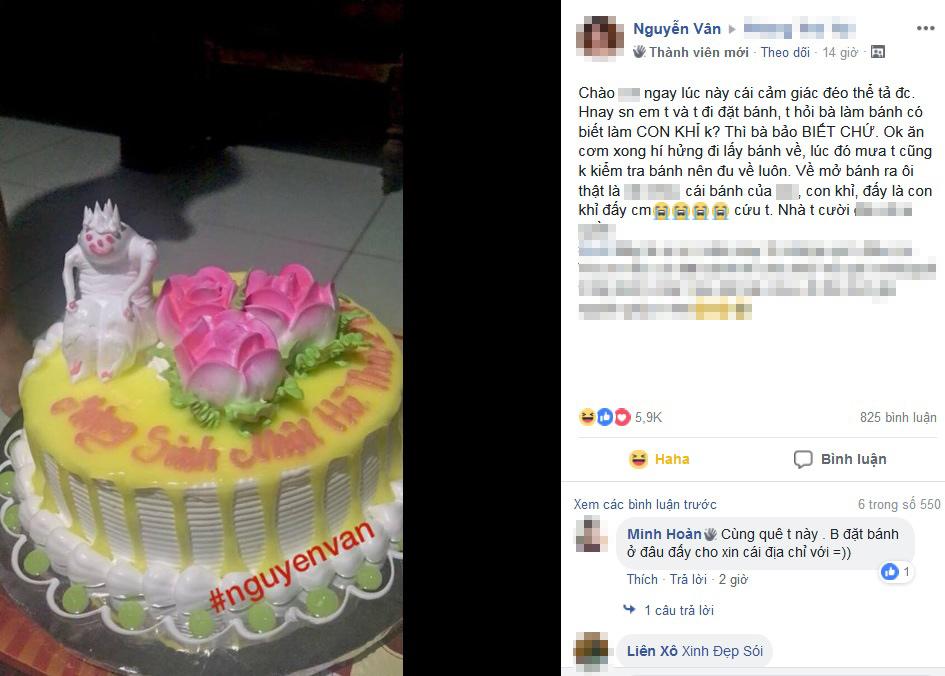 dat banh sinh nhat hinh khi cho em, co gai khong biet khoc hay cuoi khi nhan banh “con quy” - 1