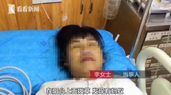 mot nguoi tu vong, mot nguoi suyt chet chi vi loai con trung nho be co mat o nhieu noi - 1