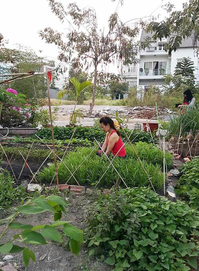 con gai thu nhap "khung", o biet thu hoanh trang nhung me ho ngoc ha van "nong dan" the nay - 13