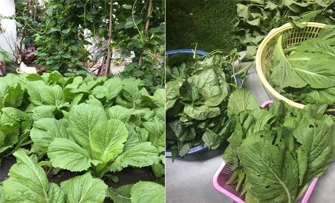 con gai thu nhap "khung", o biet thu hoanh trang nhung me ho ngoc ha van "nong dan" the nay - 15