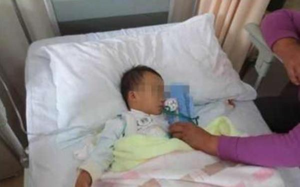 be 2 tuoi song thuc vat vi ong chieu chuong cho uong ruou sau khi uong sua - 1