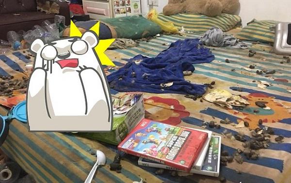 thay mui la tu phong tro, chu nha tuong an mang lien bao canh sat nhung pha cua ra thi... - 4