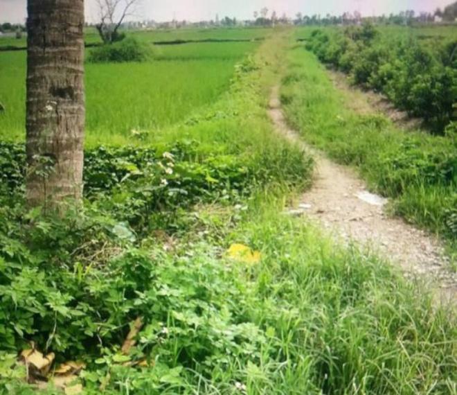 be trai so sinh con nguyen day ron bi bo o bai rac song sot ky la - 1