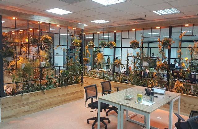 thay tuong ngan bi bach bang nhung kieu vach ngan cay nay, ban se thay dieu ki dieu - 6