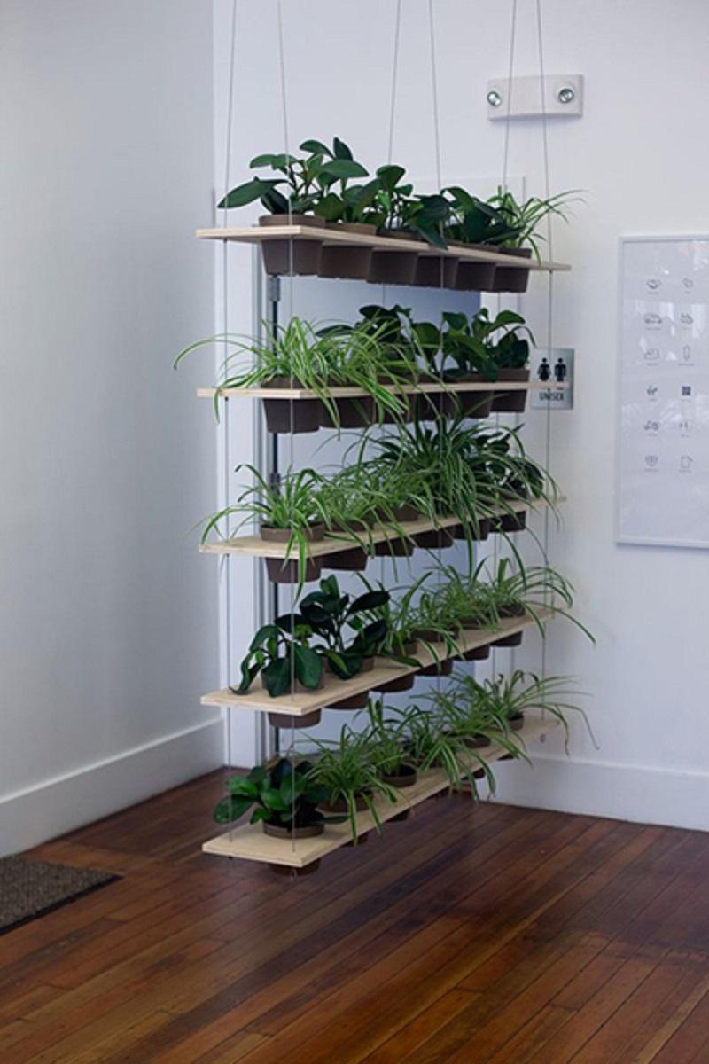 thay tuong ngan bi bach bang nhung kieu vach ngan cay nay, ban se thay dieu ki dieu - 9