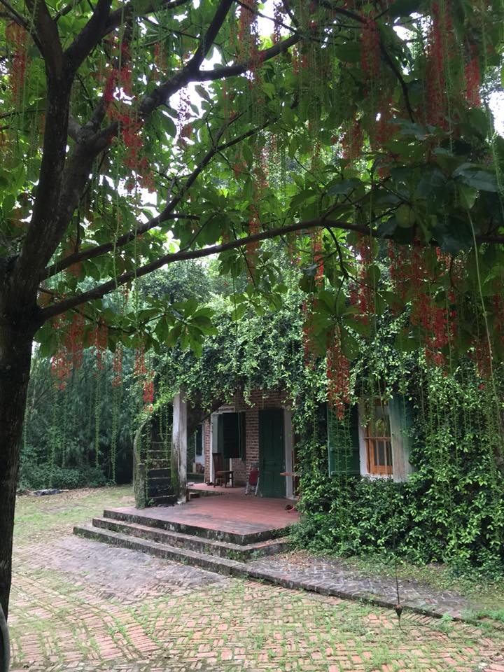 da mat ngam vuon cay trai ven song rong bat ngan, sai triu qua cua nsut chieu xuan - 15