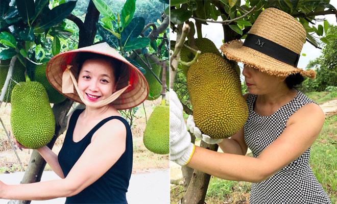 da mat ngam vuon cay trai ven song rong bat ngan, sai triu qua cua nsut chieu xuan - 1